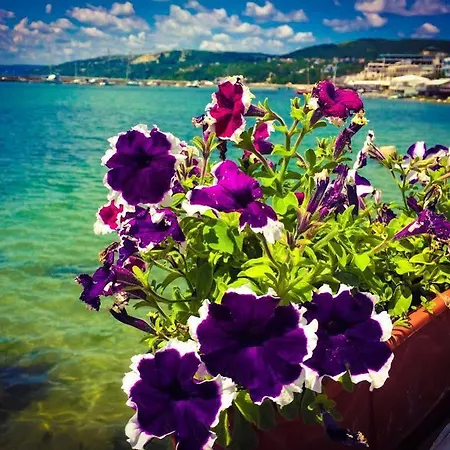 Family Jupiter Hotel Bałczik